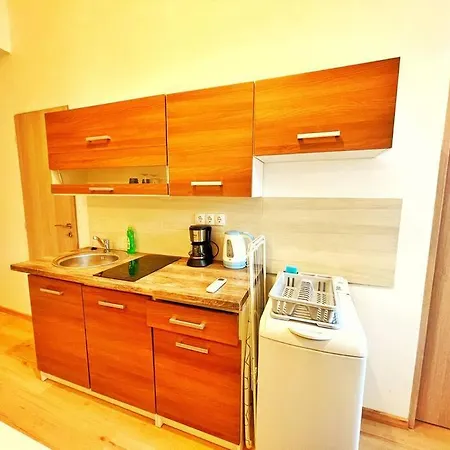 Apartment Studio Flat