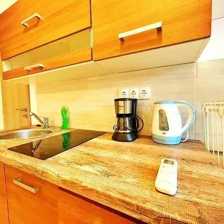 Studio Flat *