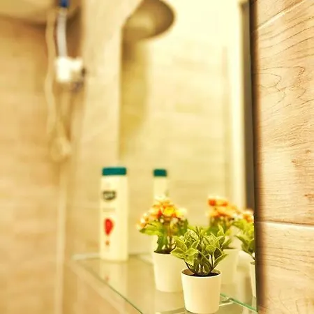 Studio Flat Apartment